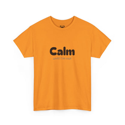Unisex Typography Humor Tee – Calm until I'm not