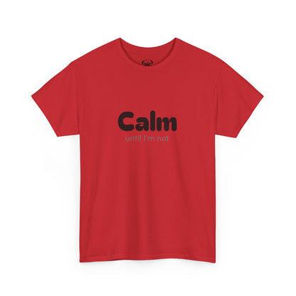 Unisex Typography Humor Tee – Calm until I'm not